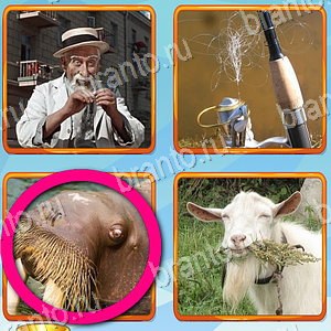 ответы на игру Что лишнее уровень 446