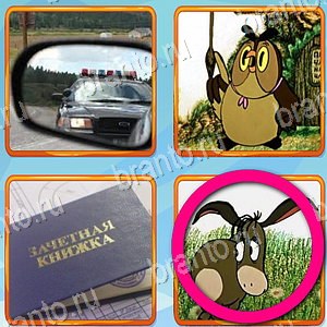 Что лишнее игра ответы Одноклассники уровень 450