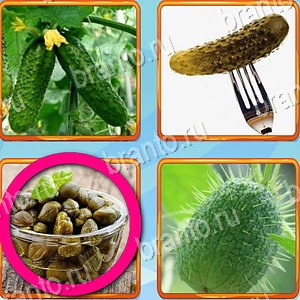 скриншоты с ответами Что лишнее уровень 464