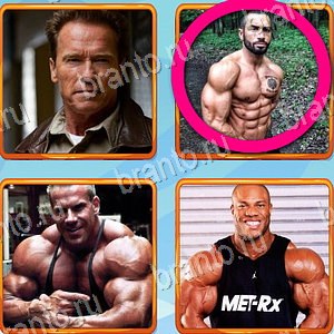 ответы на игру Что лишнее уровень 475