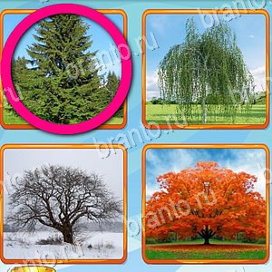 ответы на игру Что лишнее уровень 481