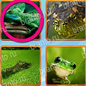 подсказки на игру Что лишнее уровень 482