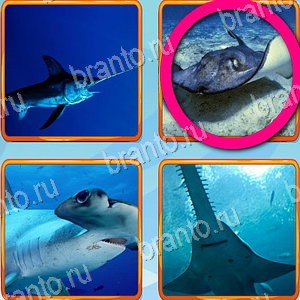 помощь на игру Что лишнее одноклассники уровень 483