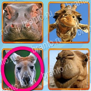 игра Что лишнее ответы в контакте уровень 486