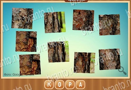 Помощь на игру ВК Что на картинке уровень 35