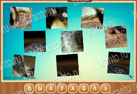 Что на картинке решения Уровень 43