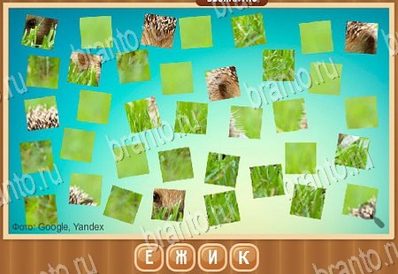 Игра Что на картинке ответы вк Уровень 48