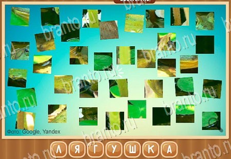 Подсказки на игру Что на картинке ВК Уровень 63