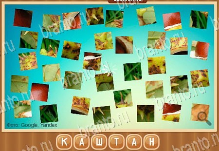 Решения на игру Что на картинке в контакте Уровень 64