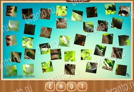 Игра Что на картинке подсказки вк Уровень 79