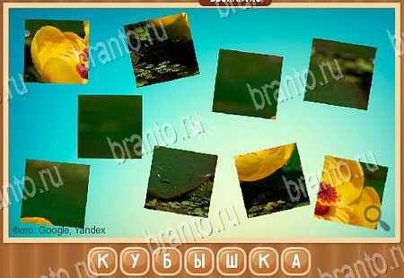 решебник на игру Что на картинке Уровень 82