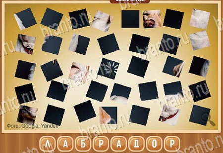 ответы на игру в одноклассниках Что на картинке Уровень 97