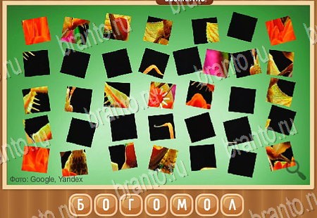 ответы на игру Что на картинке в одноклассниках Уровень 122