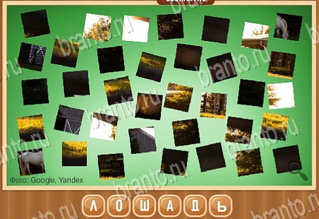 Одноклассники Что на картинке ответы Уровень 129