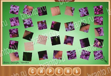 игра Что на картинке ответы в одноклассниках на Уровень 141