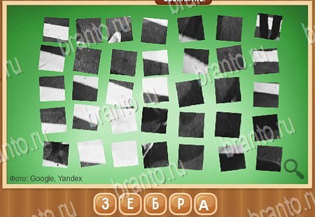 решебник на игру Что на картинке Уровень 142