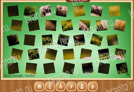 ответы на игру Что на картинке в одноклассниках Уровень 151