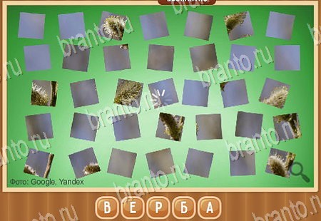 ответы на игру Что на картинке в одноклассниках Уровень 152