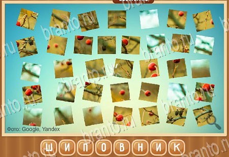 Решения на игру Что на картинке в контакте Уровень 154