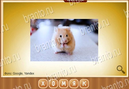 Помощь на игру ВК Что на картинке Уровень 155