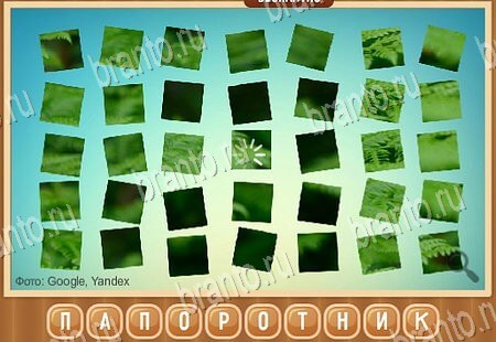 решебник на игру Что на картинке Уровень 162