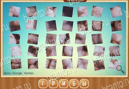 Игра Что на картинке ответы вк Уровень 168