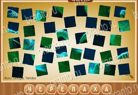 Игра Что на картинке подсказки вк Уровень 169