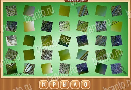 Помощь на игру ВК Что на картинке Уровень 185