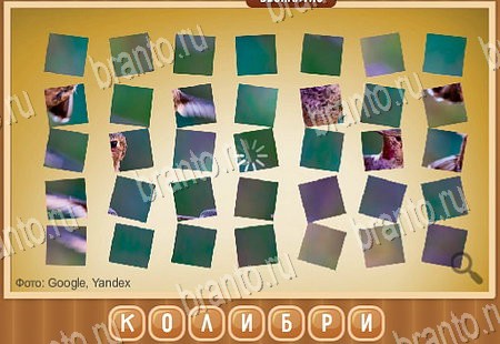 Одноклассники Что на картинке ответы Уровень 189