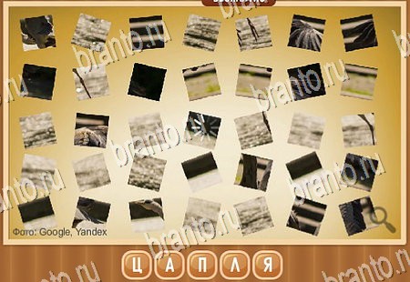 Что на картинке игра помощь в контакте Уровень 206