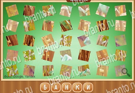 Игра Что на картинке подсказки одноклассники Уровень 210