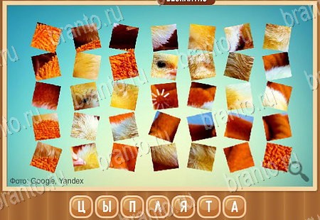 ответы на игру Что на картинке в одноклассниках Уровень 212