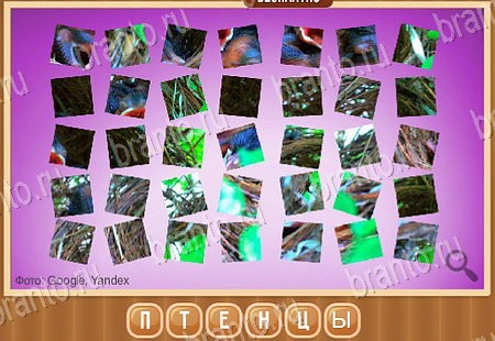 ответы на игру в одноклассниках Что на картинке Уровень 217