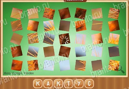 игра Что на картинке ответ на Уровень 221