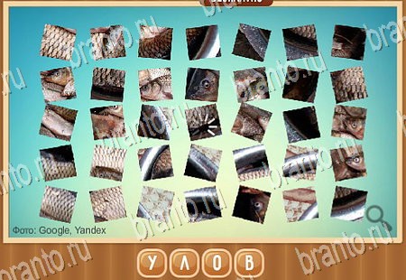 Что на картинке игра ответы Уровень 234