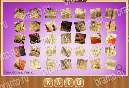 Игра Что на картинке ответы вконтакте Уровень 238