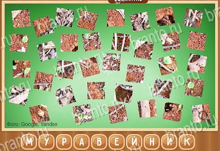 Что на картинке игра ответы Уровень 254