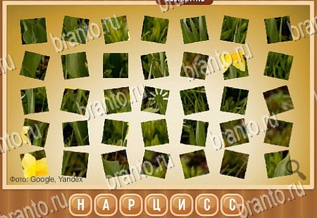 Что на картинке решения Уровень 263