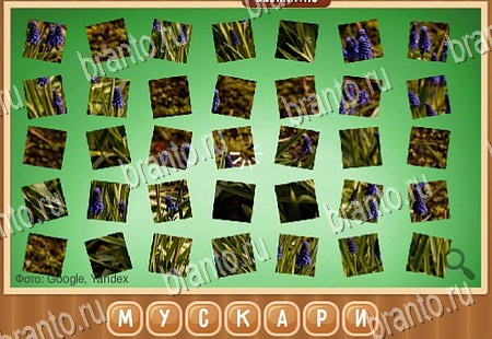 Что на картинке игра подсказки Уровень 265