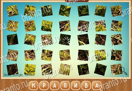 ответы на игру Что на картинке в одноклассниках Уровень 271