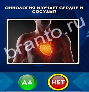 ответы на игру в одноклассниках Да или Нет Уровень 156