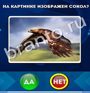 Да или Нет подсказки в контакте Уровень 159