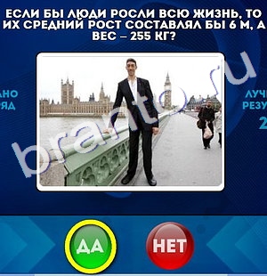Да или Нет решения Уровень 162