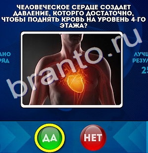 Да или Нет ответы в картинках Уровень 176