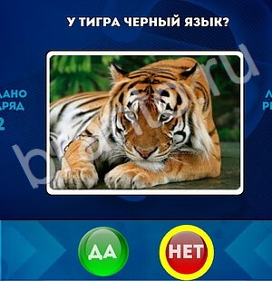 Решения на игру Да или Нет Уровень 1683