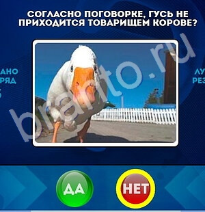 Помощь на игру ВК Да или Нет Уровень 1684