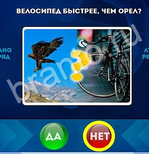 Да или Нет подсказки в контакте Уровень 1689