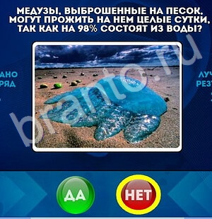 игра Да или Нет ответ на Уровень 1700