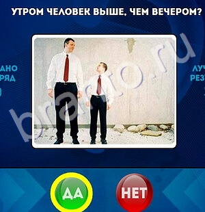 решебник на игру Да или Нет Уровень 1701