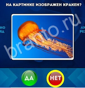Да или Нет игра помощь Уровень 1705